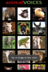Animal Voices screenshot 2/4