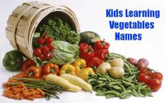 Kids learning vegetables name screenshot 1/3