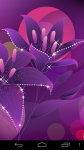 Purple Wallpapers free screenshot 6/6