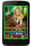 Most Dangerous Animal in the World  screenshot 1/3
