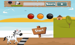 Racing Zebra screenshot 3/5