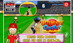 Ultimate Cricket Tournament screenshot 3/6