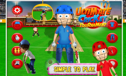Ultimate Cricket Tournament screenshot 5/6