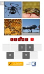 4x1 Picture Quiz screenshot 1/6