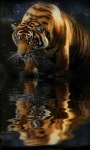 Tiger Mirror Live Wallpaper screenshot 1/3
