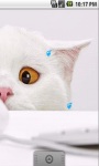 Cute Kitty And Mouse Live Wallpaper screenshot 3/5