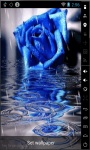 Blue Rose In Rain Live Wallpaper screenshot 1/2