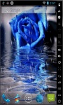 Blue Rose In Rain Live Wallpaper screenshot 2/2