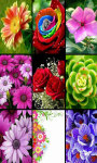 Flowers Brain Puzzle screenshot 4/5