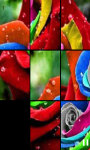 Flowers Brain Puzzle screenshot 5/5