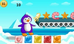 Funny Penguin Feeding - Great Adventure screenshot 2/3