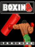 Boxing Trainning_xFree screenshot 1/4