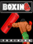 Boxing Trainning_xFree screenshot 2/4