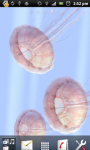 3D Jellyfish Live Wallpaper screenshot 1/6