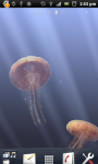3D Jellyfish Live Wallpaper screenshot 2/6
