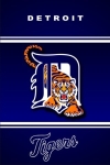 Detroit Tigers Fan screenshot 4/5