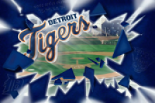 Detroit Tigers Fan screenshot 5/5