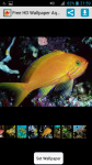 Free HD Wallpaper Aquarium screenshot 1/4