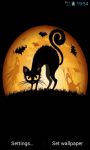 Halloween Black Cat Live Wallpapers screenshot 2/3