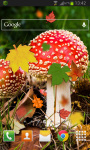Autumn Leaves Mushroom Live HD screenshot 2/2