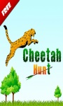 Cheetah Hunt screenshot 1/1