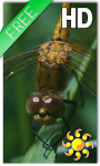 Dragonfly Live Wallpaper HD screenshot 1/2
