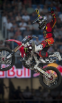 Red Bull Fighters Racers screenshot 2/6
