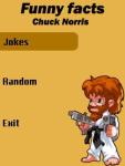 Chuck Norris facts/jokes screenshot 1/1