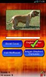 Guess The Dog Breed Quiz - Pendrush screenshot 1/4