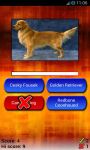Guess The Dog Breed Quiz - Pendrush screenshot 2/4