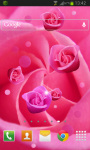 Pink Rose Live Wallpaer screenshot 2/2