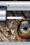 PERFECT Web Browser - EXTRAORDINARY Browser w/ REAL-Tabs, TOUCH Scroll &amp; VGA screenshot 1/1
