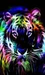 Multicolor Tiger LWP screenshot 1/3