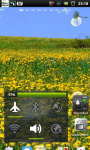 Spring Flower Yellow Dandelion LWP screenshot 2/6