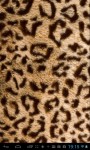 Animal fur textures LWP screenshot 1/5
