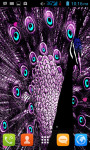 Peacock Peafowl Live Wallpaper Free screenshot 1/4