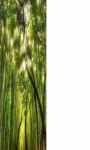 Bamboo buds Wallpaper HD screenshot 1/3
