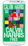 Calvin Harris Games Puzzle screenshot 5/6