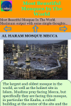 Most Beautiful Mosques In The World screenshot 3/3