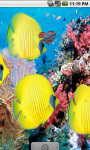 Yellow Fish Underwater Live Wallpaper screenshot 1/4