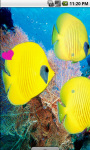 Yellow Fish Underwater Live Wallpaper screenshot 2/4