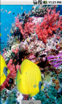 Yellow Fish Underwater Live Wallpaper screenshot 3/4