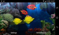 Beautiful Aquarium HD Live Wallpaper  screenshot 5/6