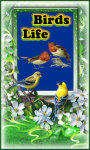 Birds Life screenshot 1/4