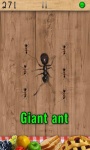 Best Ant Smasher  screenshot 4/6