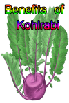 Benefits of Kohlrabi screenshot 1/4