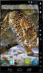 Leopard Hunting Live Wallpaper screenshot 2/2