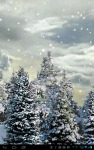 Snowfall3D Live Wallpaper screenshot 1/4