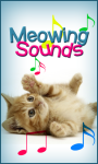 Meowing Sounds HQ screenshot 1/6