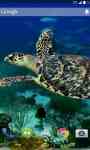 Turtle Sea Live Wallpaper screenshot 2/3